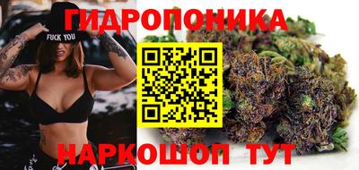 гидра Ижевск