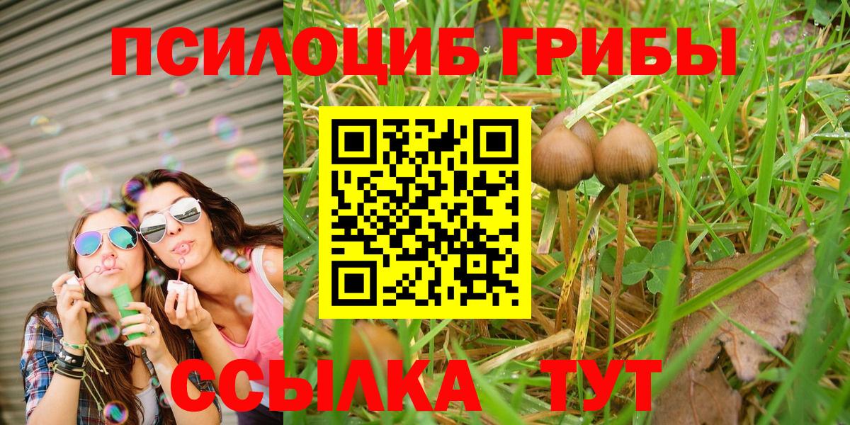 Псилоцибиновые грибы Psilocybine cubensis  Псилоцибиновые грибы MAGIC MUSHROOMS  Кстово  цена   Вход с VPN 