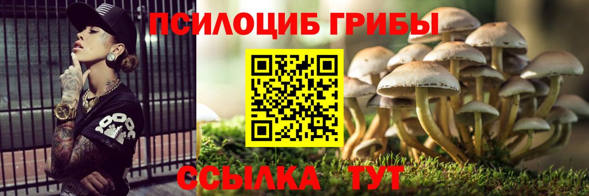 Псилоцибиновые грибы прущие грибы Кстово